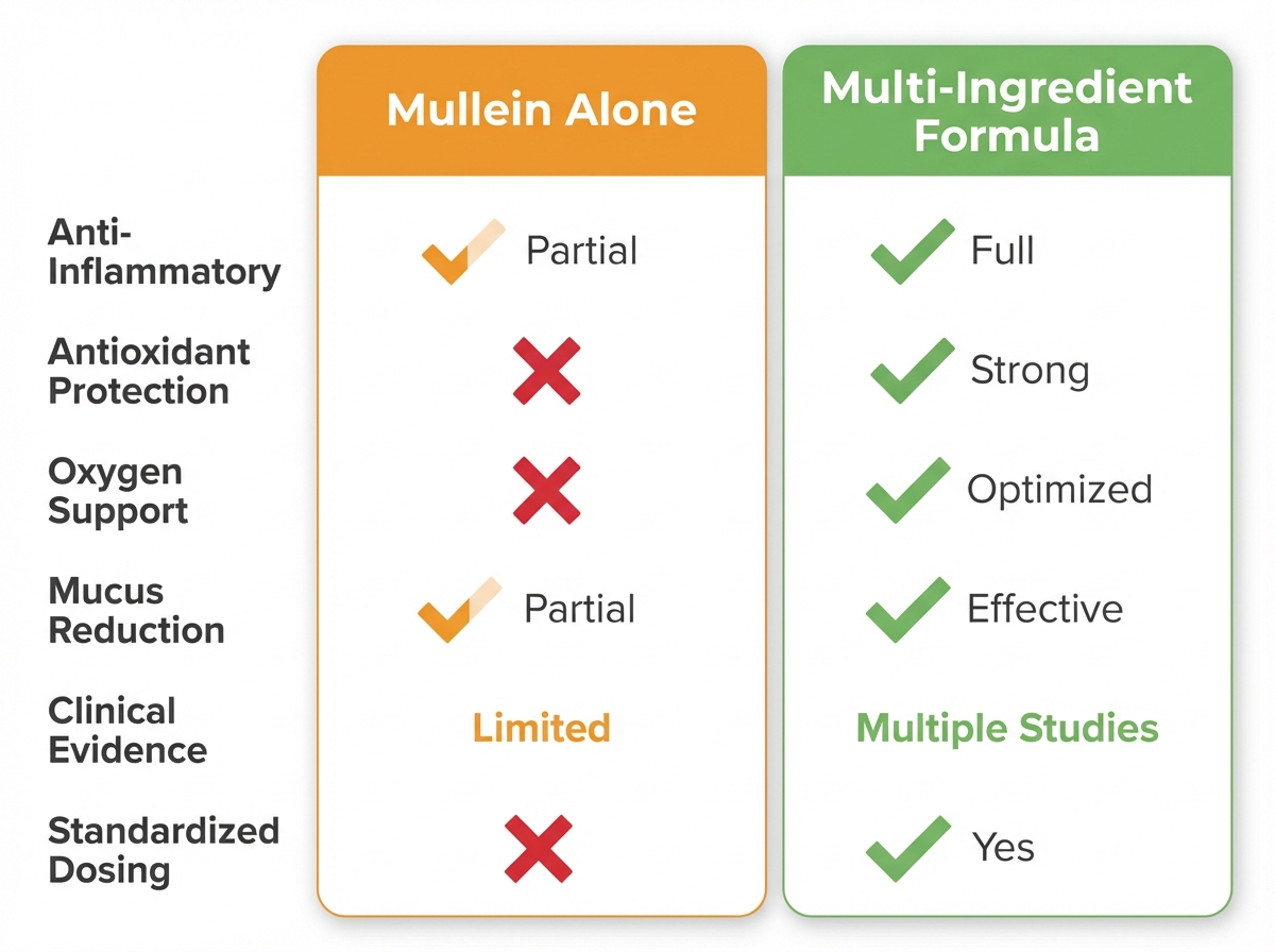 Comparison chart: Mullein Alone versus a Multi-Ingredient Formula across six lung health factors